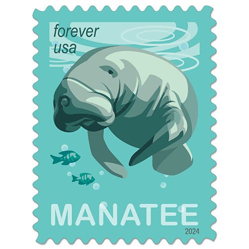 2024manatees_2260124A1